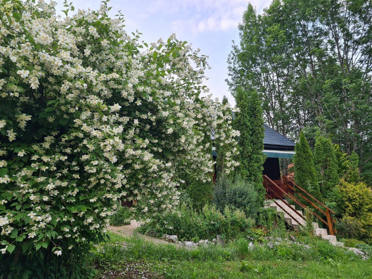 House Poljana Villa Plitvička Jezera Eksteriør bilde